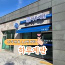 아산 탕정 계란 추천 하루계란에서 난각번호 1번 2번 신선한 계란 저렴하게 구매한 후기