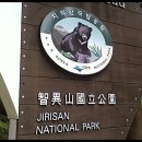 마팽태권도 Daum카페