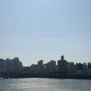홍삼뱅크 | [블로그일기] 2026년 2월 일상기록