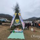 진해구 ⓒ-24 이미지