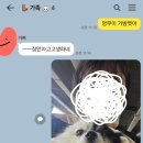 다루동물병원 이미지