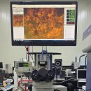 MM 소프트 이미지