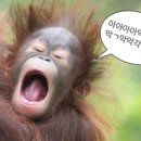 잇다북 카카오 검색결과