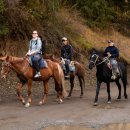 알틴 | [키르기스스탄 카라콜] 알틴아라샨 아라쿨 패스 솔직 후기 및 체크포인트 정보