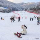 11545-04-24-25 | 곤지암리조트 스키장 렌탈샵 W스키 예약 추천 후기