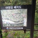 국립두타산자연휴양림 | 평창캠핑장 두타산자연휴양림 데크 우중캠핑 25년 10월 후기