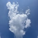 정헤어모드 이미지