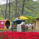 진성체육관 | 의령 홍의장군축제 수박축제 후기 주차 체험 총정리