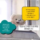 동탄탁구클럽