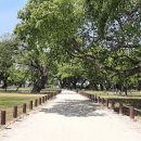 성밖숲정보센터 이미지