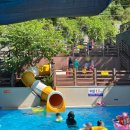 향로산 자연휴양림 수영장 이미지