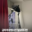 학수정 | 압구정증명사진 스튜디오모키 컬러증명사진 후기