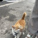 풍세면작은도서관 이미지