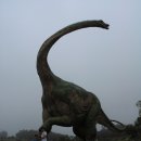 창수어린이집 이미지