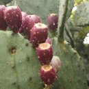 양지바른약국 이미지