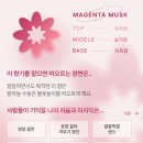 목포피자공장 이미지