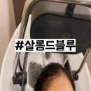 살롱 드 블루(Salon de blue)