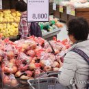 G7·대만과 비교하니…한국 올해 과일·채소값 가장 많이 올랐다 이미지