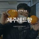 씨에스팜 이미지