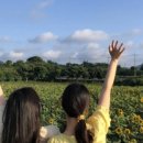 새우리농장 이미지