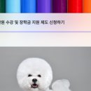 제일애견 이미지