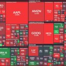 (주)에스와이바이오 이미지