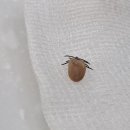 비슬동물병원 이미지