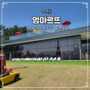 멍마르뜨 | 거제 애견카페 멍마르뜨 입장료 넓은 천연 잔디 운동장 여행 가볼만한곳 추천