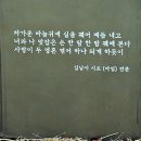 김남이「마임」 Daum카페