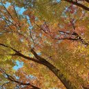 츄스타일(chu style) | [나고야 가성비 호텔 숙소 추천] 닛코 스타일 나고야(Nikko Style Nagoya) 위치·조식·후기