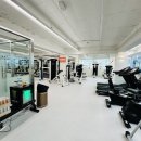 하이퍼짐 이미지