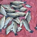 성호낚시터 이미지