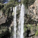 정방폭포 이미지