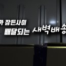 배달마켓 이미지