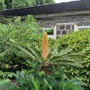 저청중학교 이미지