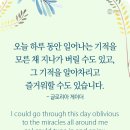 오늘하루 이미지