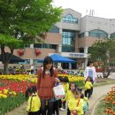 근혜유치원 Daum카페