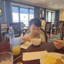 퍼시픽7(태평양여관) | 괌 PIC _ 로얄클럽룸 브론즈패스로 수영장 &amp; 해적디너쇼 살짝 엿보기 (feat. 두번째 PIC 방문)