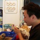 bbodog(뽀독) 네이버블로그
