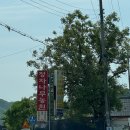 정자나무농원 이미지