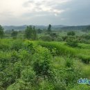 개간지천 이미지