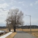 동천 수변공원 이미지