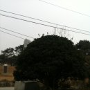 고부농장 이미지