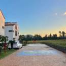 비자림빌리지 이미지