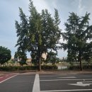 LH세종특별본부 | 2025 LH 체험형 인턴 후기 2: 근무지, 업무, 성실인턴 수료