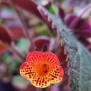 화수성심의원 이미지