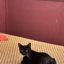 뷰티만수르 | 만수동마사지 황제마사지에서 건전 전신마사지 후기 🐾