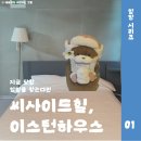 씨사이드힐 이미지