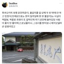 일본 후쿠오카 온천 위생 논란 타임라인 이미지