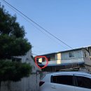 길냥이와 함께하는 이미지